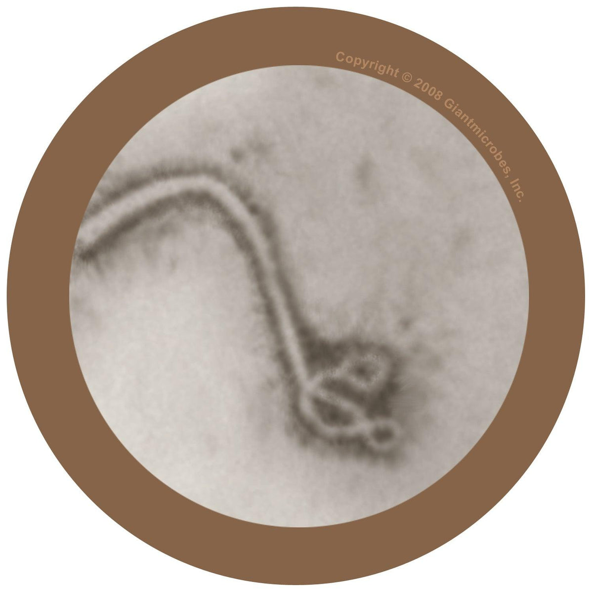 ebola giant microbe