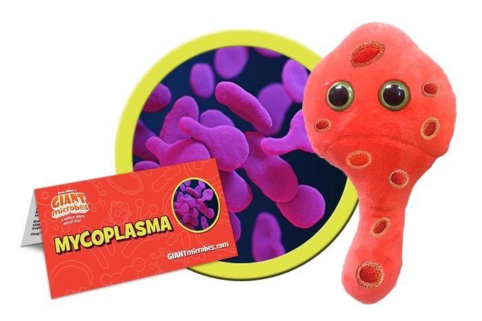 Giant best sale microbe toys