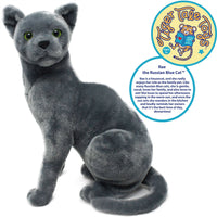 VIAHART Rae The Russian Blue Cat 13 Inch Stuffed Animal Plush