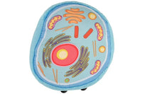 Giant Microbes Cell Biology Deluxe 2-Pack