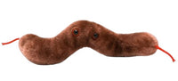 Giant Microbes Original Diarrhoea Diarrhea (Campylobacter jejuni)