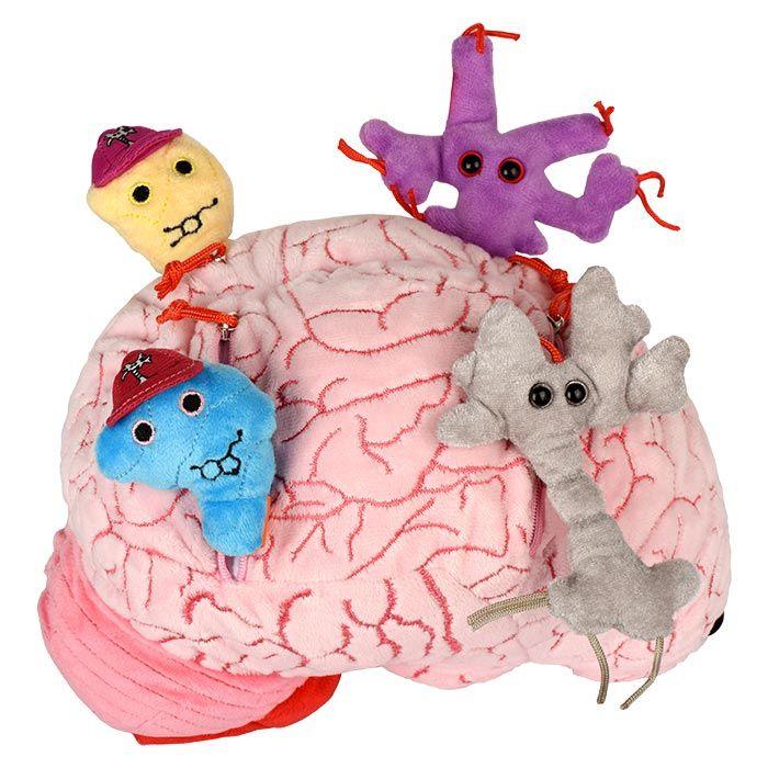 Giant Microbes XL Deluxe Brain Organ with Hidden Cells & Neurotransmit ...