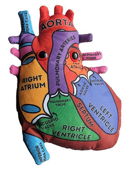 Giant Microbes Heart Model