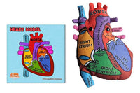 Giant Microbes Heart Model