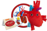 Giant Microbes Deluxe Heart XL with Hidden Cells