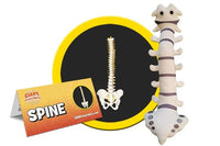 Giant Microbes Spine