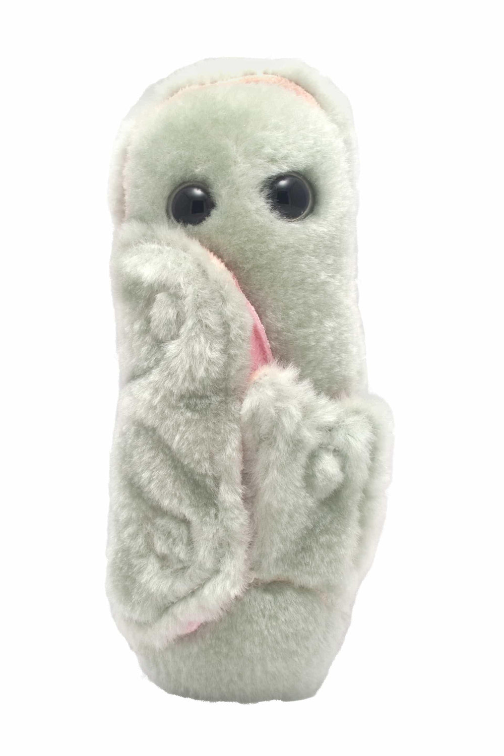 Giant Microbes Leprosy Mycobacterium Leprae| Planet Microbe