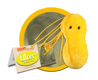 Giant Microbes Original Ulcer (Helicobacter Pylori) - Planet Microbe