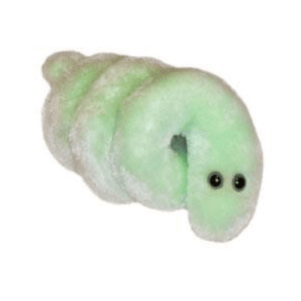 Giant Microbes Original Lyme Disease - Planet Microbe