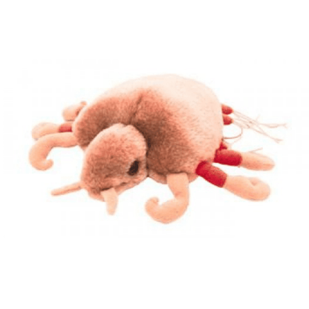 Giant Microbes - Crab Louse (Pthirus Pubis) - Planet Microbe