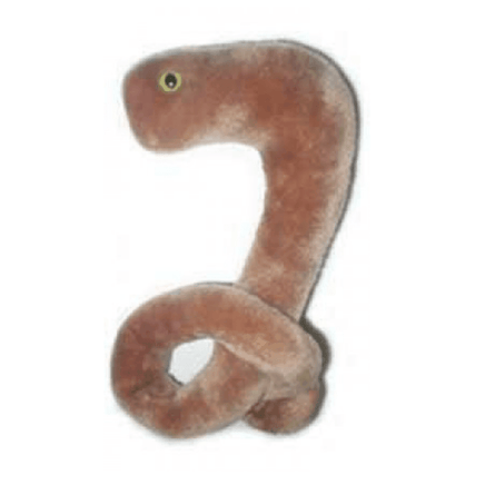 Giant Microbes - Ebola (Ebola Virus) - Planet Microbe