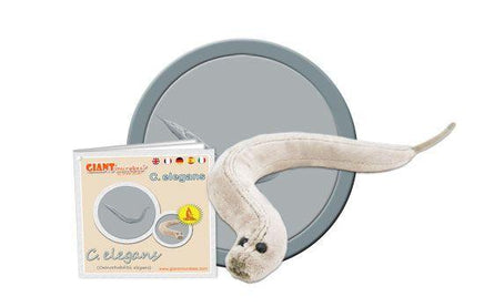 Giant Microbes Original C. Elegans (Caenorhabditis Elegans) - Planet Microbe