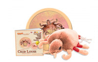 Giant Microbes - Crab Louse (Pthirus Pubis) - Planet Microbe