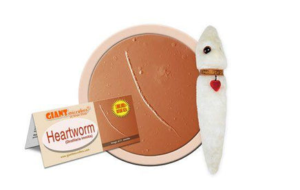 Giant Microbes Original Heartworm - Planet Microbe