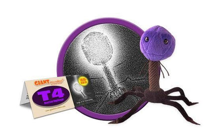 Giant Microbes Original T4 - Bacteriophage - Planet Microbe