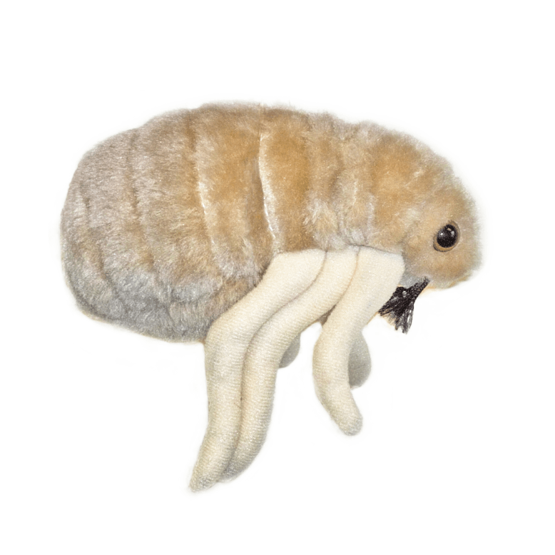 Giant Microbes Original Flea| Planet Microbe